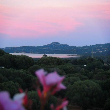Agriturismo Sa Mendhula Кугнана Номер фото