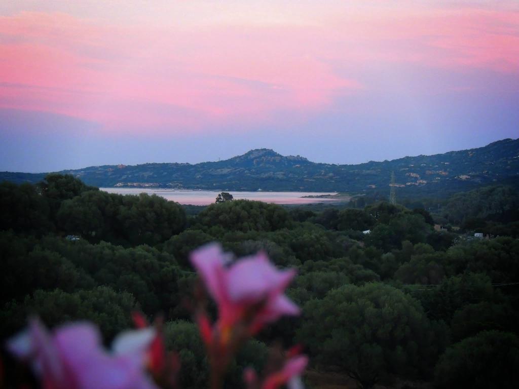 Agriturismo Sa Mendhula Кугнана Номер фото