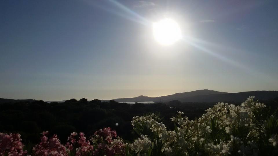 Agriturismo Sa Mendhula Кугнана Номер фото