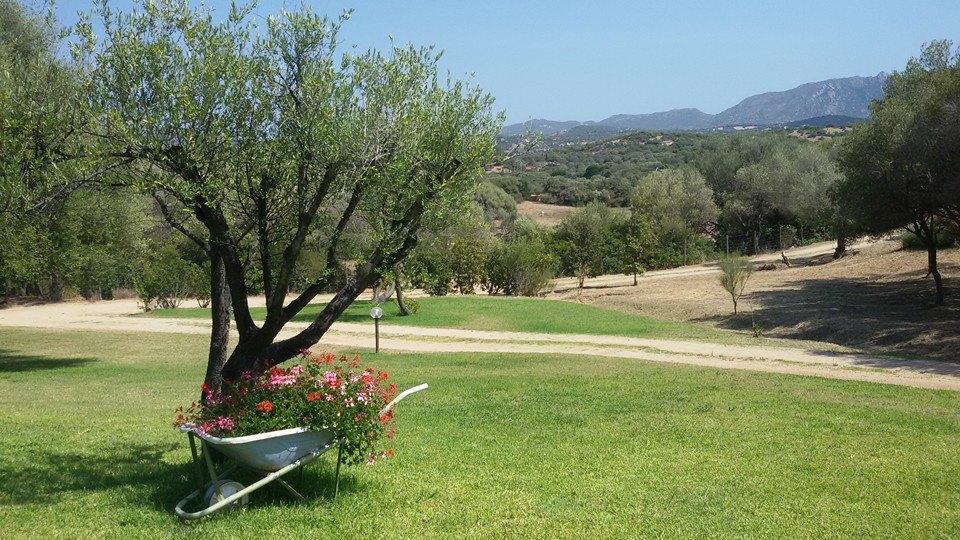 Agriturismo Sa Mendhula Кугнана Екстер'єр фото