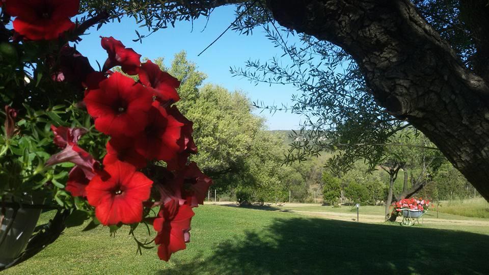 Agriturismo Sa Mendhula Кугнана Екстер'єр фото